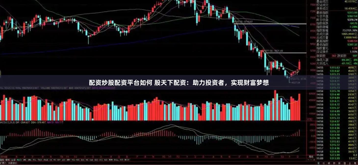 配资炒股配资平台如何 股天下配资：助力投资者，实现财富梦想