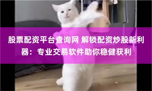 股票配资平台查询网 解锁配资炒股新利器：专业交易软件助你稳健获利
